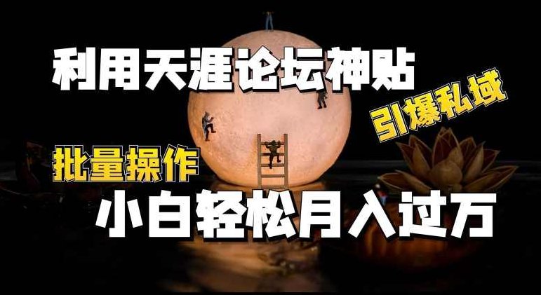 利用天涯论坛神贴，引爆私域，批量操作，小白轻松月入过w【项目拆解】,视频,制作,介绍,第1张