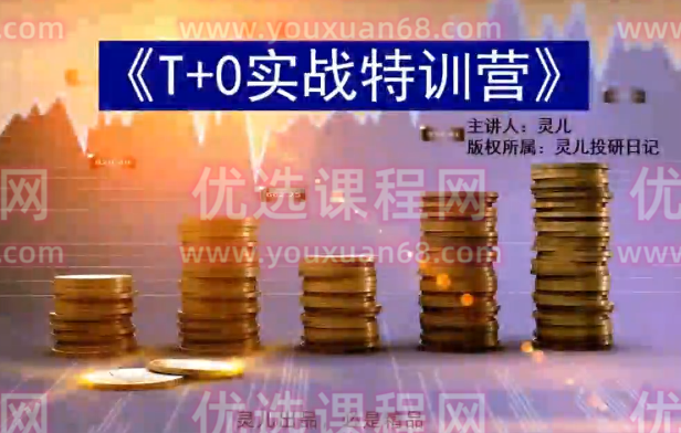 灵儿投研日记《T+0实战特训营》含指标,课程,视频,教程,第1张