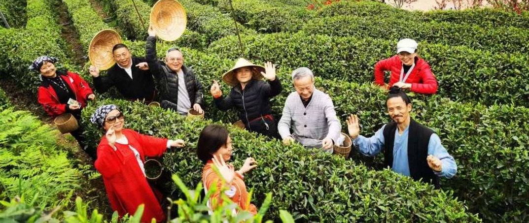 吴必强 太极养生