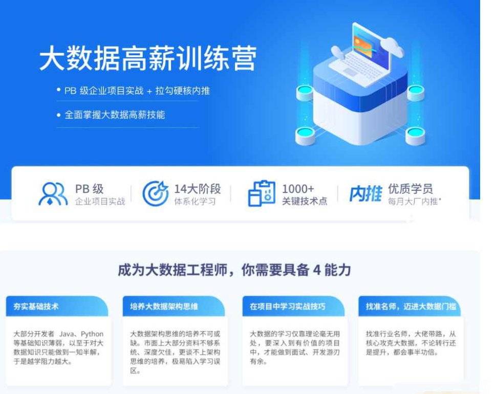 拉勾大数据开发高薪训练营14期,课程,第1张