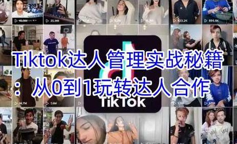 Tiktok达人管理实战秘籍：从0到1玩转达人合作,课程,秘籍,揭秘,第1张