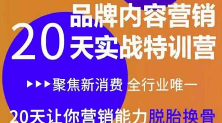 《内容营销实操特训营》20天让你营销能力脱胎换骨（价值3999）,课程,第1张