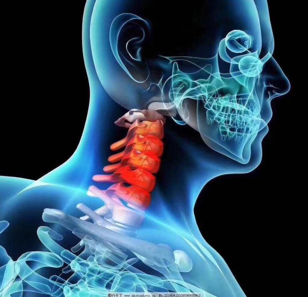 吴起宁 颈椎病的诊断和治疗,介绍,颈椎病,第1张