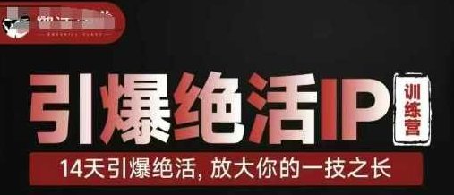 引爆绝活IP训练营14天引爆绝活，放大你的一技之长,课程,训练营,成功,第1张
