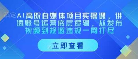 AI高阶自媒体项目实操课，讲透账号运营底层逻辑，从发布视频到规避违规一网打尽,课程,视频,教程,第1张