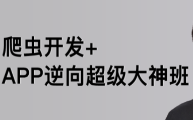 路飞-爬虫开发+APP逆向超级大神班1-3班价值4999元2022年,课程,视频,第1张