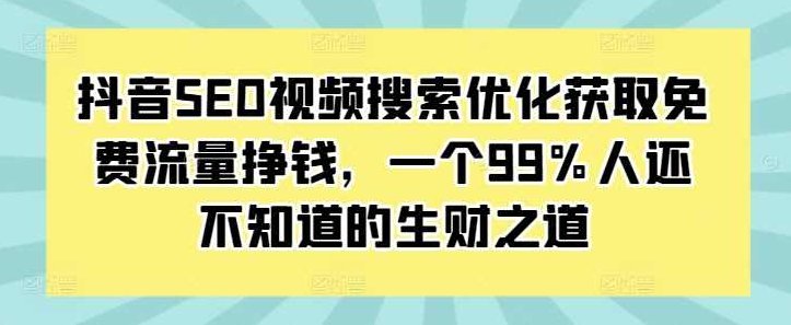 抖音SEO视频搜索优化获取免费流量挣钱，一个99%人还不知道的生财之道,视频,研究,抖音,第1张