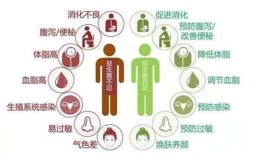 于益芝 免疫与健康和长寿,研究,创新,第1张