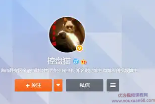 投资研习社-控盘猫基本面擒龙研修班,课程,教程,第1张