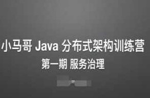 小马哥 Java 分布式架构训练营 - 第一期 服务治理,课程,第1张