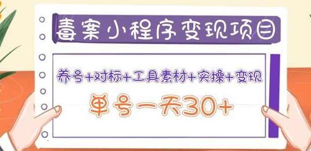 森罗万项毒案小程序变现项目:养号+对标+工具素材+实操+变现,单号一天30+,课程,素材,第1张 森罗万项毒案小程序变现项目:养号+对标+工具素材+实操+变现,单号一天30+,课程,素材,第1张