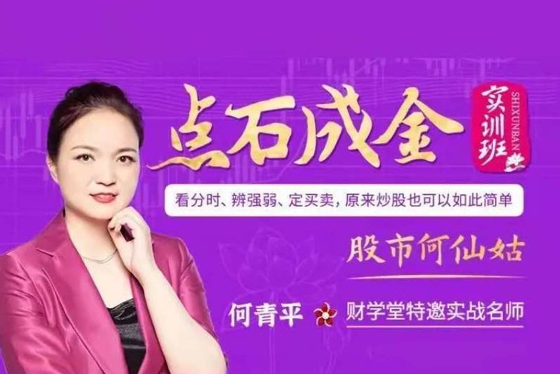【股市何仙姑】何青平点石成金实训课看分时判断强弱定买卖原来炒股如此简单,视频,股票,股市,第1张