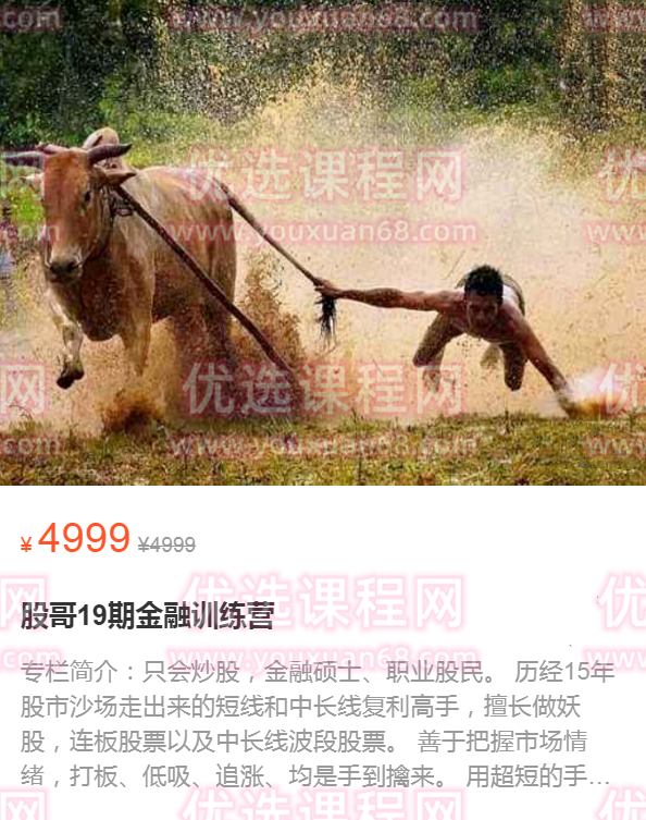 股哥训练营 只会炒股第19期,课程,基础,训练营,第1张
