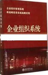 贾长松讲座视频《如何建设企业组织系统》,课程,视频,讲座,第1张
