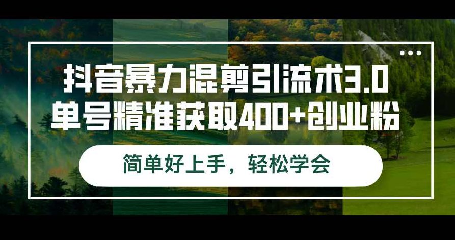 抖音暴力混剪引流术3.0单号精准获取400+创业粉简单好上手，轻松学会【项目拆解】,课程,抖音,创业,第1张