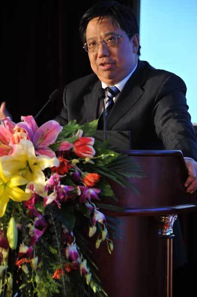 施炜 中国企业的成长,基础,专家,研究,第1张