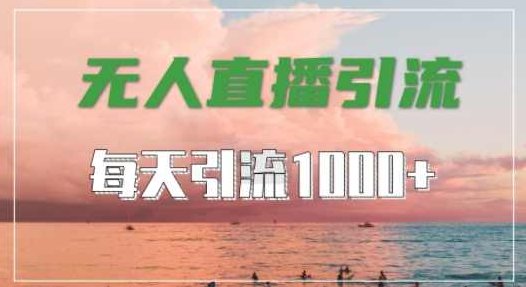 抖音快手视频号全平台通用,无人直播引流法,超暴力引流1000+高质量精准创业粉【项目拆解】,视频,抖音,创业,第1张 抖音快手视频号全平台通用,无人直播引流法,超暴力引流1000+高质量精准创业粉【项目拆解】,视频,抖音,创业,第1张