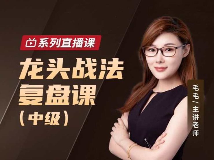 毛毛老师龙头战法复盘课（中级）,课程,视频,训练营,第1张