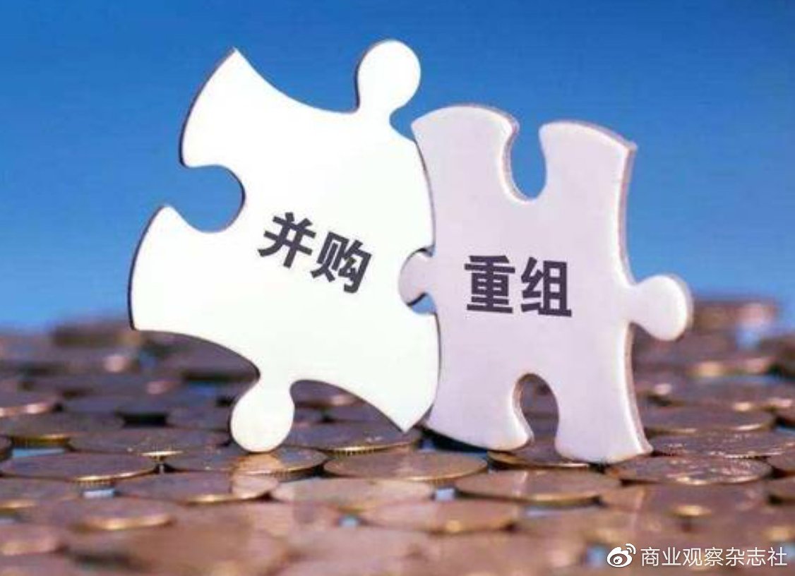 并购的价值创造 产业重组与经济安全全11集,价值,评估,11集,第1张