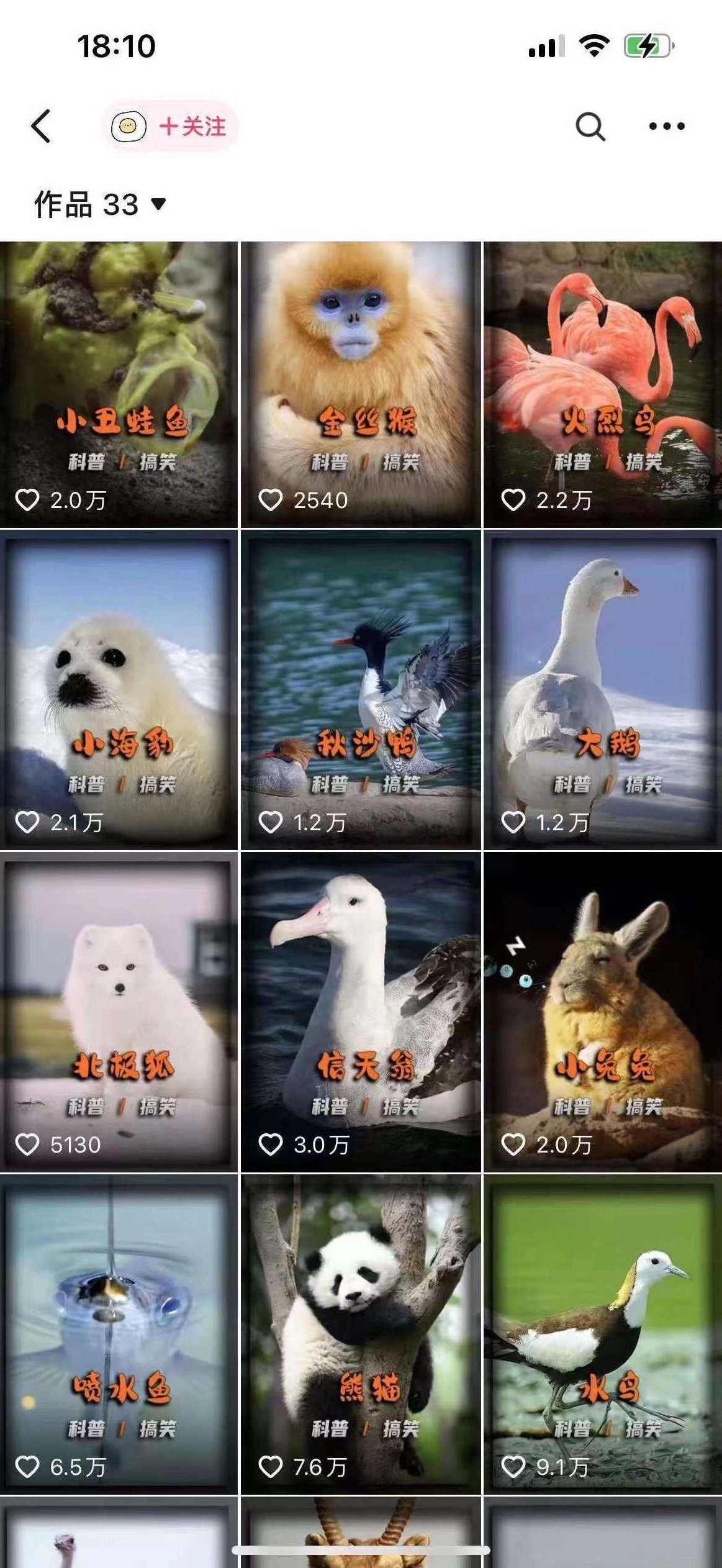 动物科普解说项目，撸创作者伙伴计划收益，保姆级实战教程【项目拆解】,课程,教程,基础,第2张