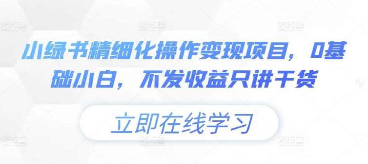 小绿书精细化操作变现项目，0基础小白，不发收益只讲干货【项目拆解】,课程,教程,基础,第1张