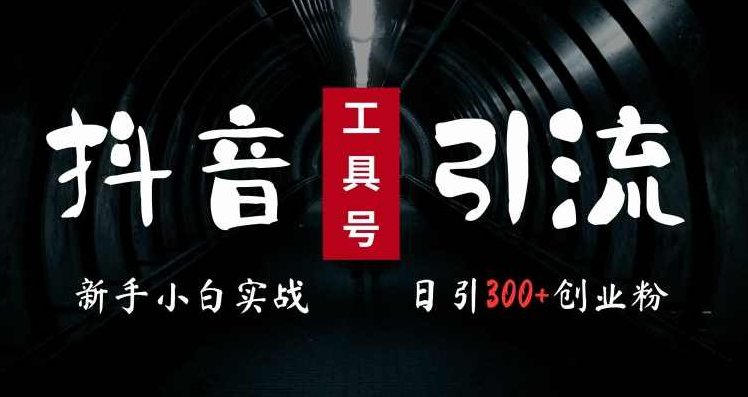 2024最新抖音工具号引流玩法,高效日引300+创业粉,当天变现5k,小白也可成为实战高手【项目拆解】,课程,视频,抖音,第1张 2024最新抖音工具号引流玩法,高效日引300+创业粉,当天变现5k,小白也可成为实战高手【项目拆解】,课程,视频,抖音,第1张