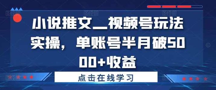 小说推文—视频号玩法实操,单账号半月破5000+收益【项目拆解】,课程,视频,介绍,第1张 小说推文—视频号玩法实操,单账号半月破5000+收益【项目拆解】,课程,视频,介绍,第1张