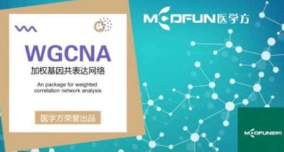 豪斯医生数据挖掘之WGCNA详解,课程,基础,研究,第1张