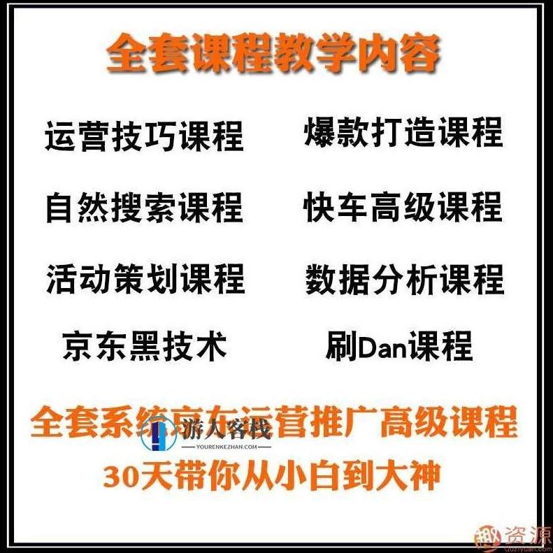 2019京东平台店铺运营教程快车营销技巧高级开店全套电商视频教学,视频,教程,视频教学,第2张