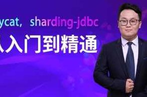 马式兵-mycat，sharding-jdbc从入门到精通,课程,入门到精通,入门,第1张