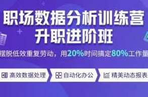 数据分析-环球青藤-数据分析师就业训练营,课程,基础,研究,第1张