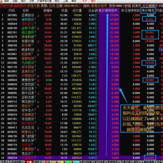 2022散人竞价擒龙系统8.5 终极版指标源码含软件+使用说明,研究,创业,赚钱,第3张