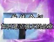 杜云生全集-杜云生《如何建立强大的企业》企业管理培训