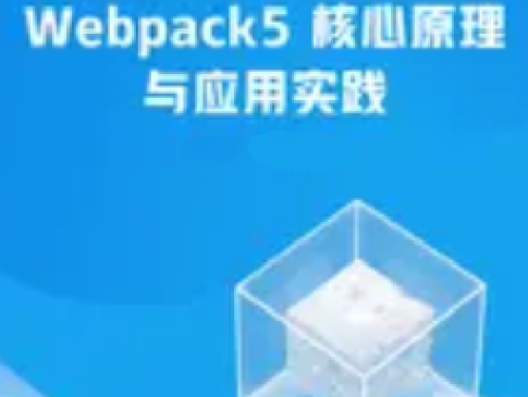 Webpack5核心原理与应用实践,课程,基础,掌握,第1张