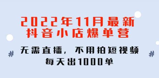 2022年11月最新抖音小店爆单营,无需直播,不用拍短视频,课程,视频,教程,第1张 2022年11月最新抖音小店爆单营,无需直播,不用拍短视频,课程,视频,教程,第1张