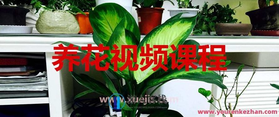 养花视频课程：轻松掌握园艺技巧，园艺技巧进阶，养花视频课程助你轻松掌握技巧,课程,518智库,视频,第1张