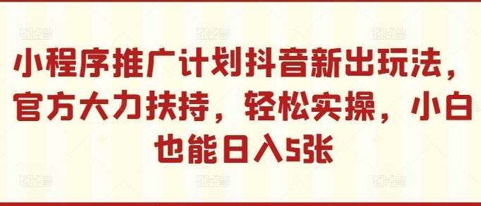 小程序推广计划抖音新出玩法，官方大力扶持，轻松实操，小白也能日入5张【项目拆解】,视频,抖音,赚钱,第1张