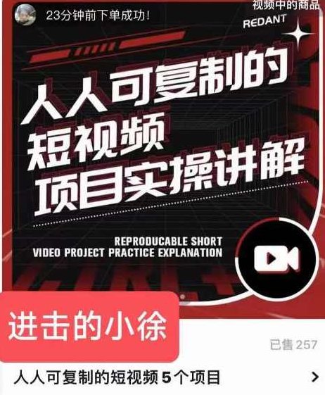 进击的小徐·人人可复制的短视频5个项目，实操讲解年销售额八位数级别项目,课程,视频,第1张