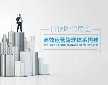 白银时代房地产企业如何构建完善高效运营管理体系,课程,专家,研究,第1张
