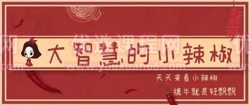 公众号《大智慧的小辣椒》交易系统课,课程,视频,第1张