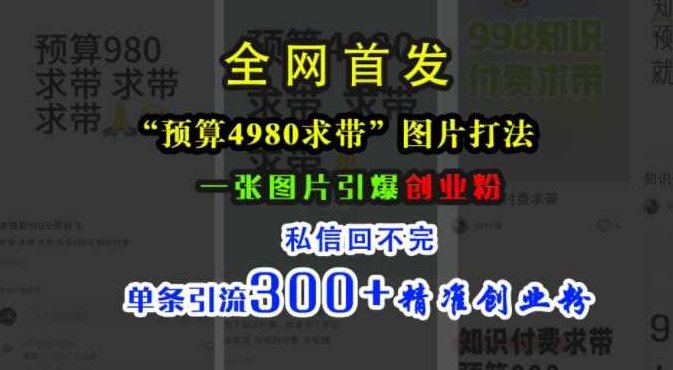 小红书“预算4980带我飞”图片打法，一张图片引爆创业粉，私信回不完，单条引流300+精准创业粉【项目拆解】,课程,制作,创业,第1张