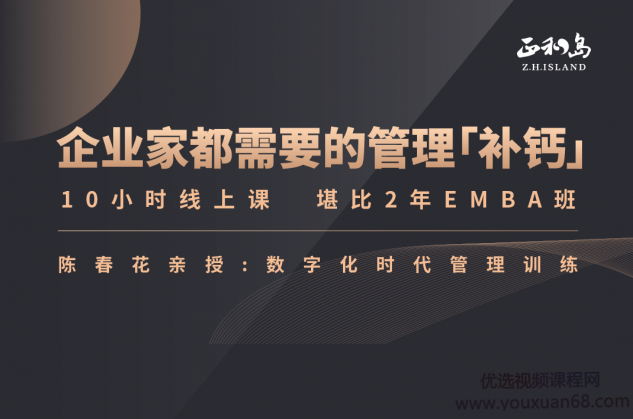 陈春花—中国企业数字化转型必修课,课程,视频,研究,第1张