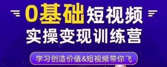 薛辉·0基础短视频实操变现训练营，3大体系成就百万大V,课程,视频,基础,第1张