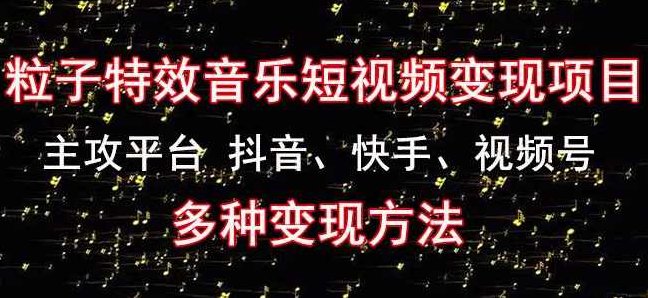 黄岛主《粒子特效音乐短视频变现项目》主攻平台抖音、快手、视频号多种变现方法,视频,研究,抖音,第1张