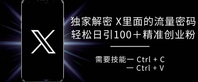 独家解密 X 里面的流量密码,复制粘贴轻松日引100+【项目拆解】,课程,介绍,注意事项,第1张 独家解密 X 里面的流量密码,复制粘贴轻松日引100+【项目拆解】,课程,介绍,注意事项,第1张