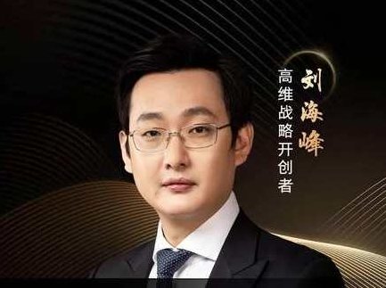 刘海峰 高维战略——增长篇（10节）