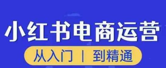 顽石小红书电商高阶运营课程，从入门到精通，玩法流程持续更新,课程,视频,第1张