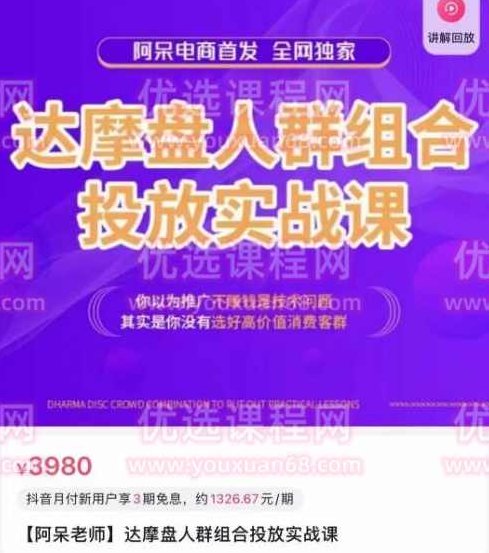 阿呆电商·达摩盘人群组合投放实战课，你以为推广不赚钱是技术问题，其实是你没有选好高价值消费客群,课程,赚钱,应用,第1张