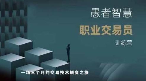 愚者智慧《职业交易员训练营》二期,课程,视频,2022,第1张