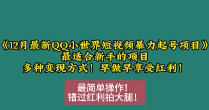 12月最新QQ小世界短视频暴力起号项目，最适合新手的项目，多种变现方式,视频,年轻人,蓝海项目,第1张